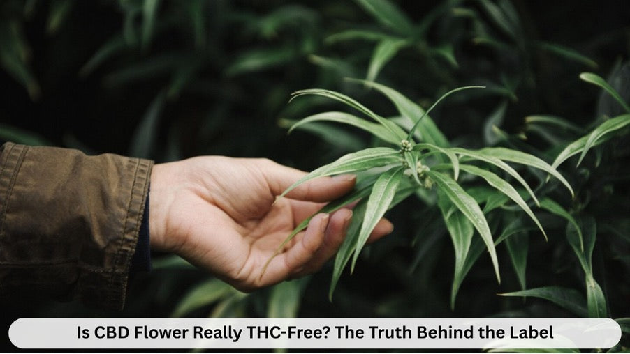 CBD Flower