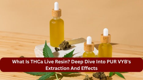 What Is THCa Live Resin? Deep Dive Into PUR VYB's Extraction And Effects