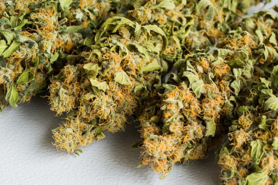Blue Punch Strain: Effects, Flavor & Potency Guide