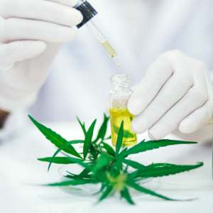 Effects of THCa
