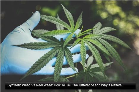 Type of weed