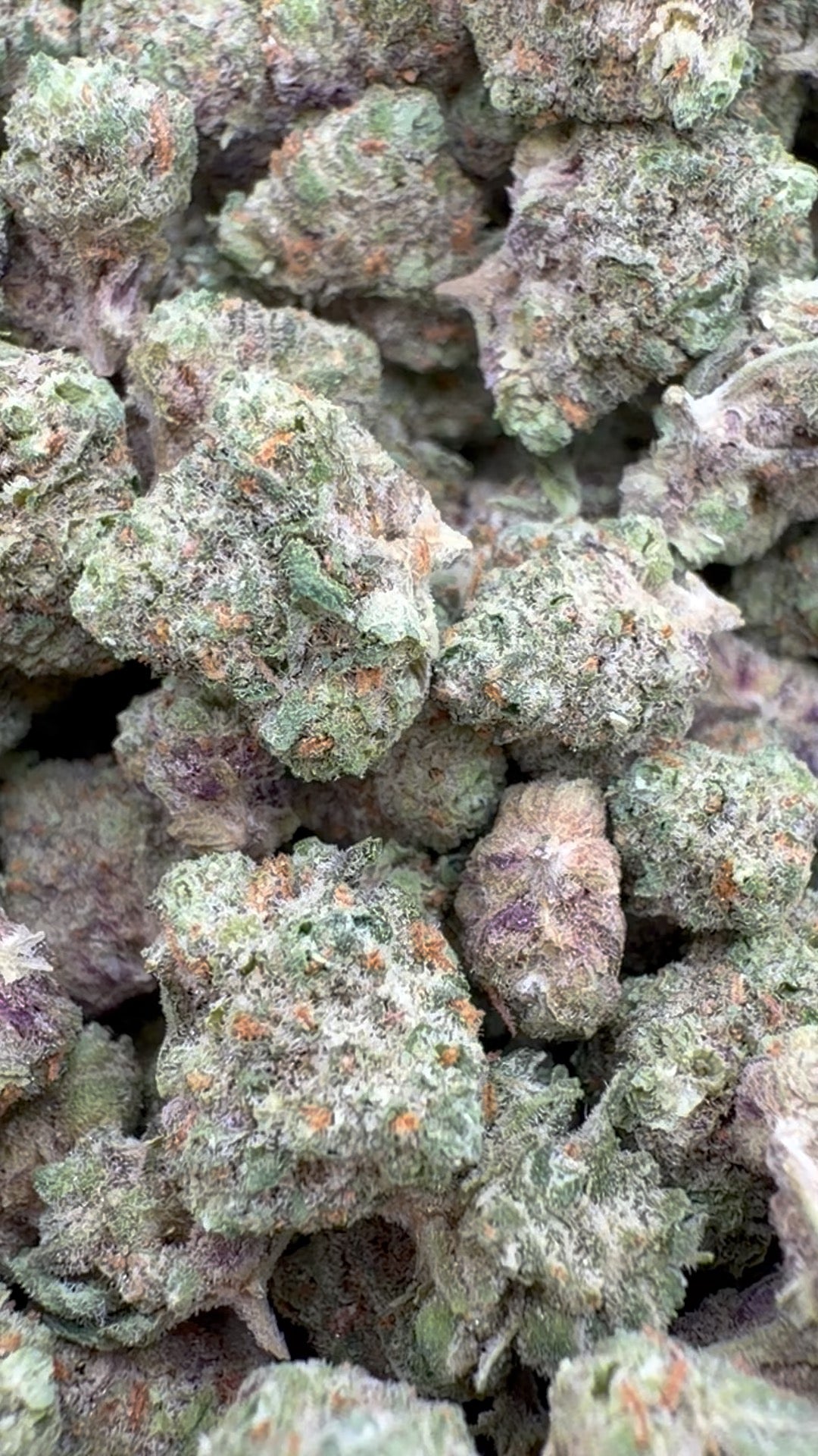 Citrus Skunk Indoor Littles - Bulk Littles - Hybrid