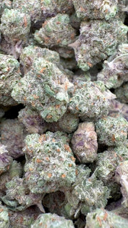 Citrus Skunk Indoor Littles - Bulk Littles - Hybrid