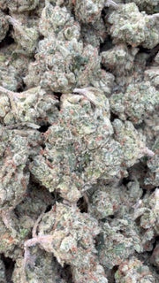 Citrus Kush Indoor Mediums - Bulk Mediums - Sativa
