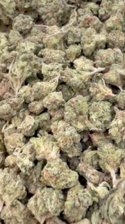 Citrus Kush Indoor Littles - Bulk Littles - Indica