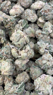 Zlushies Indoor Littles - Bulk Littles - Indica