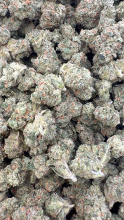 XJ 13 Indoor Littles - Bulk Littles - Sativa