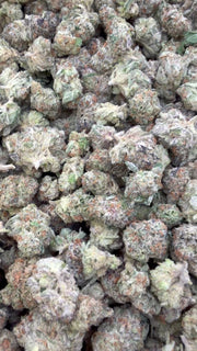 Pink Runtz Indoor Mediums - Bulk Mediums - Hybrid