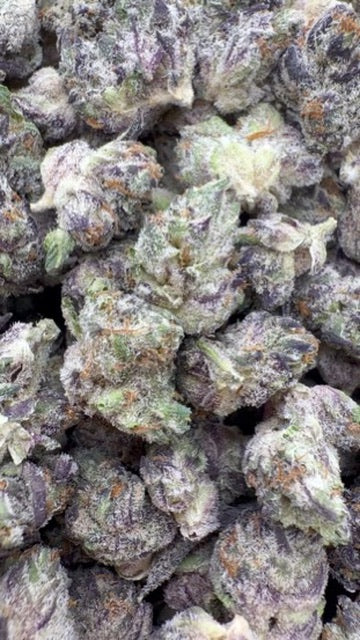 Truffle Indoor Littles - Bulk Littles- Indica