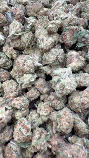 Cookie Fuel Littles - Bulk Littles - Hybrid
