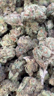 Gruntz Littles - Bulk Littles - Indica
