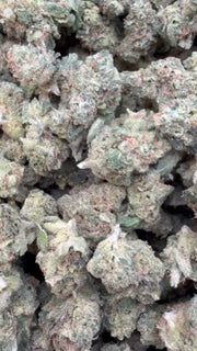 Blue Dream Indoor Littles  - Bulk Littles - Sativa