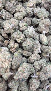 Fidel Runtz Littles - Bulk Littles - Hybrid