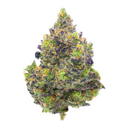 Zkittles x Mochi Indoor - 4 Grams - Indica