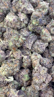 Black Cherry Runtz Indoor Littles - Bulk Littles - Indica