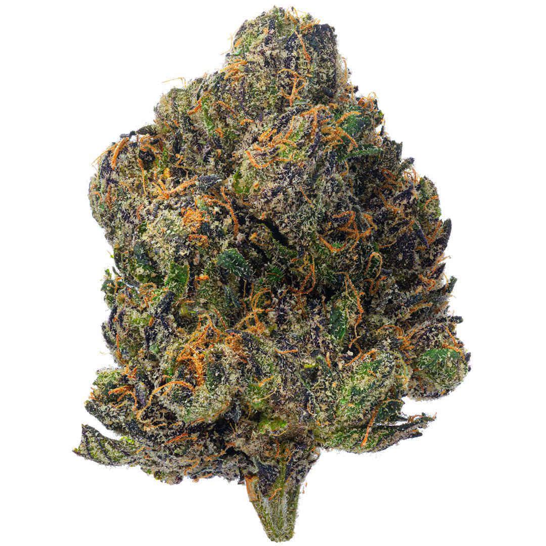 Elite Boutique Exotics - Cotton Kandy Faygo - 14 Grams - Hybrid