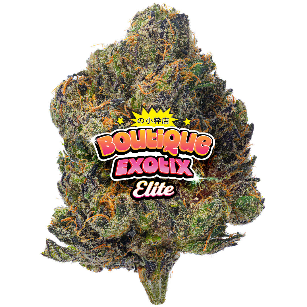 Elite Boutique Exotics - Cotton Kandy Faygo - 14 Grams - Hybrid