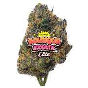 Elite Boutique Exotics - Z Candy - 14 Grams - Hybrid