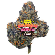 Elite Boutique Exotics - Dark Matter - 14 Grams - Hybrid
