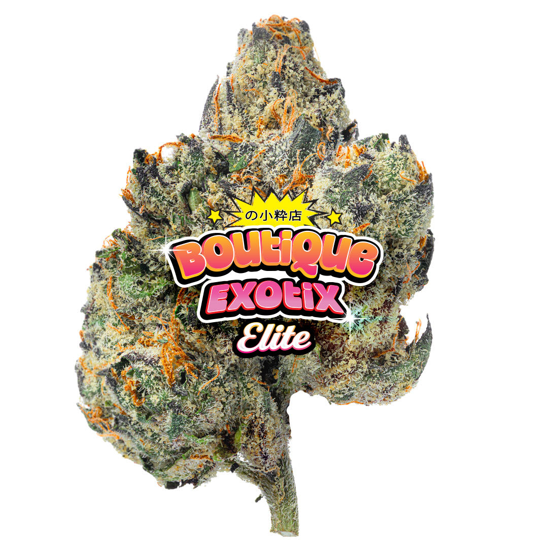 Elite Boutique Exotics - Cotton Kandy Faygo - 4 Grams - Hybrid