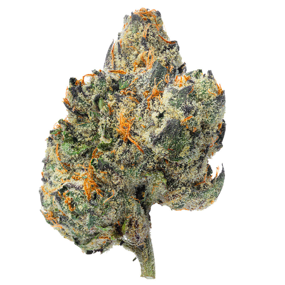 Elite Boutique Exotics - Cotton Kandy Faygo - 4 Grams - Hybrid