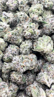 Red Runtz Indoor Littles - Bulk Littles - Indica