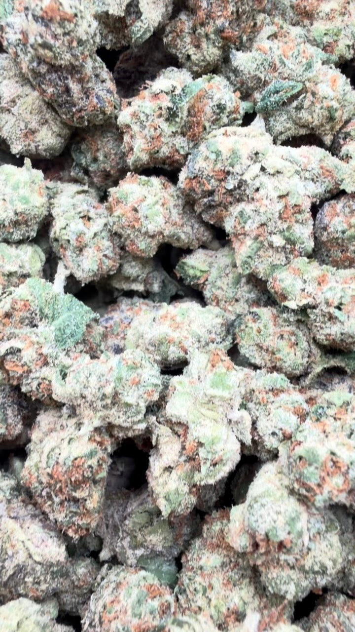 Gelonade Indoor Littles - Bulk Littles - Sativa
