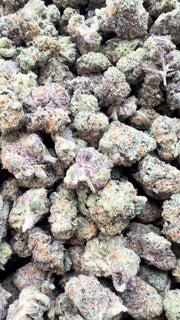 Boutique Exotics Coffin Candy Littles - Bulk Littles - Hybrid