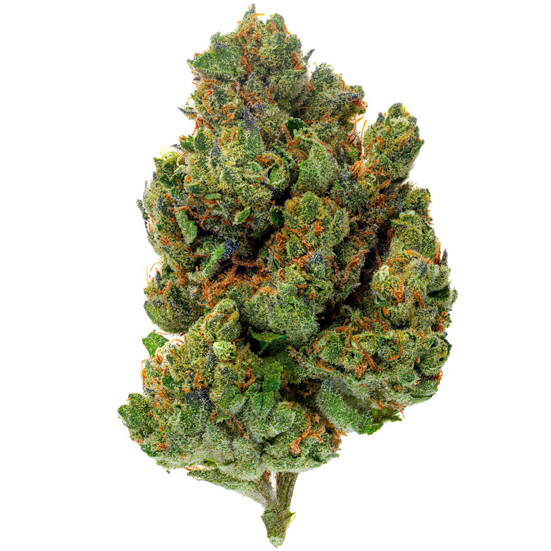 Chocolate Diesel - 4 Grams - Hybrid