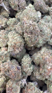 Gas Candy Indoor Littles - Bulk Littles - Hybrid