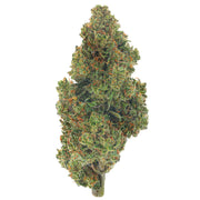 Jack Herer - 14 Grams - Sativa