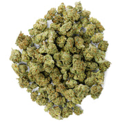 Jack Herrer - 28 Grams Littles - Sativa