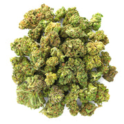 Jungle Gelato - 28 Grams - Indica