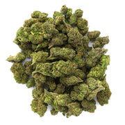 Lemon Cherry Gelato - 14 Grams - Hybrid