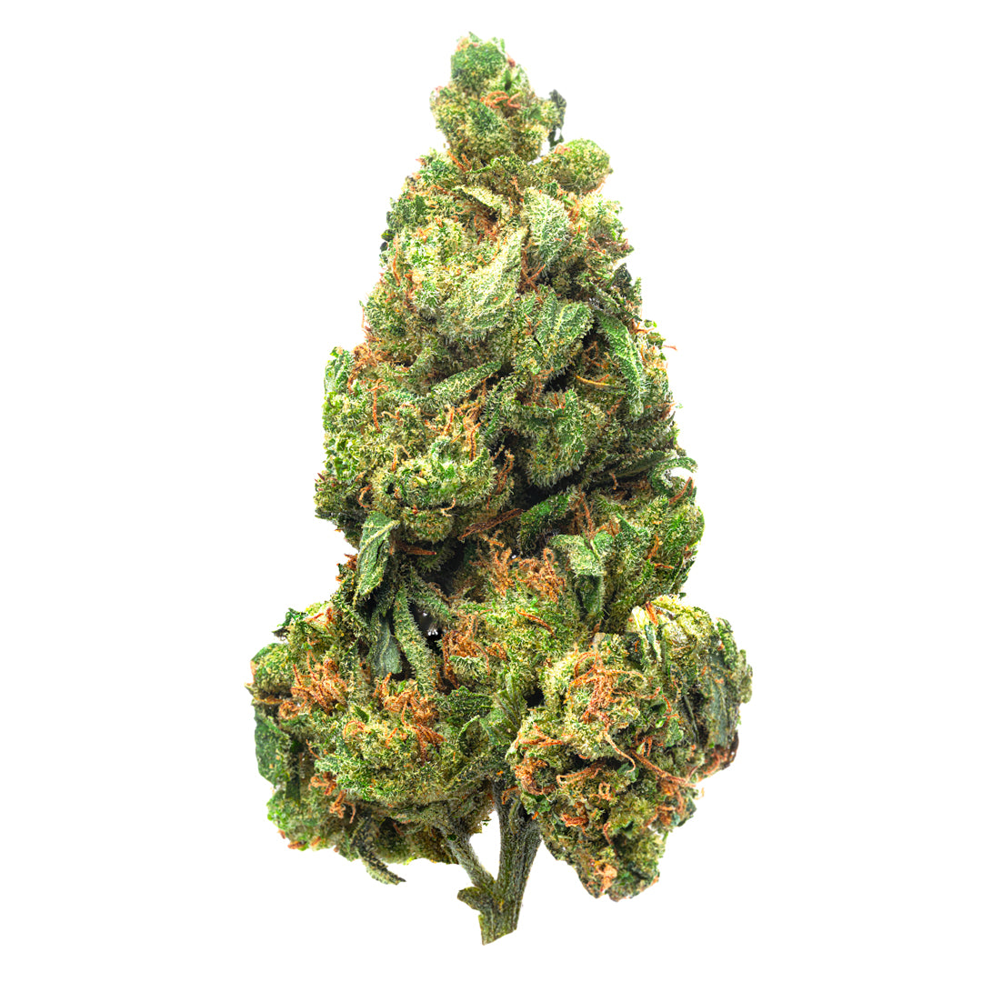Master Kush - 14 Grams - Indica