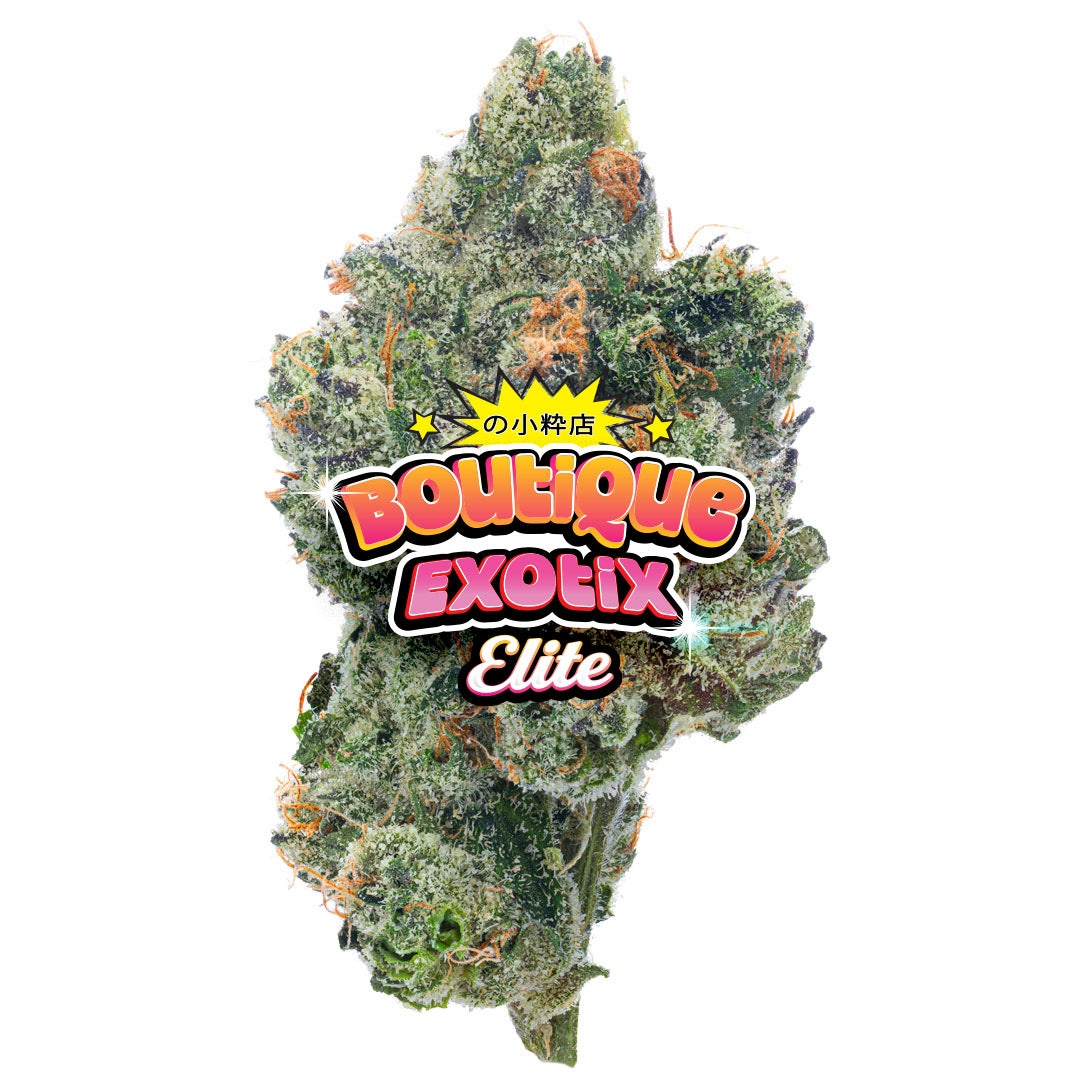 Elite Boutique Exotics - Purple Zkittles - 4 Grams - Indica