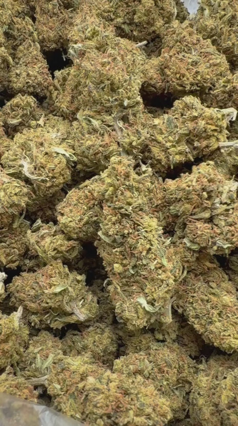 Load video: Super Silver Lemon Haze - Bulk - Sativa
