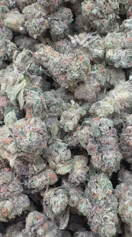 Load video: Nuclear Zkittlez Indoor Littles - Bulk Littles - Hybrid