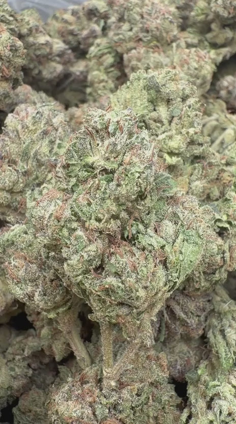 Load video: Hard Candy - Bulk - Indica