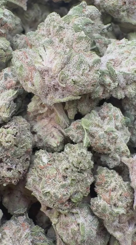Load video: Modified Mintz Mediums - Bulk Mediums - Indica