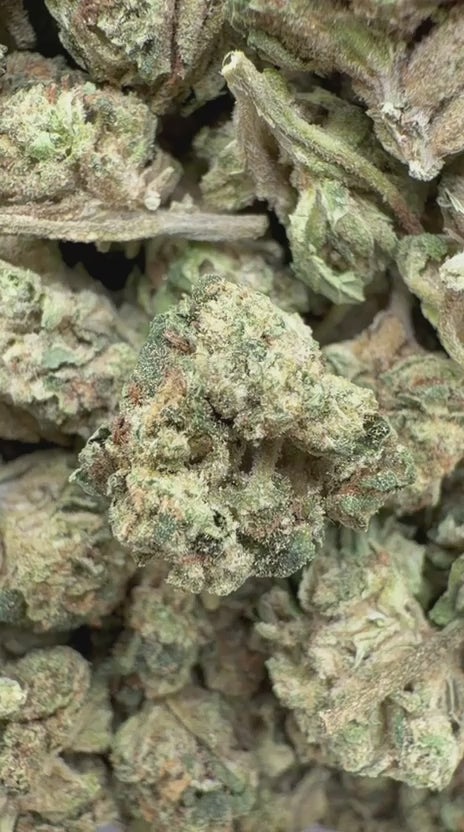 Load video: Wedding Cake Littles - Bulk Littles - Indica