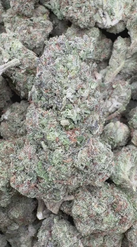 Load video: Triangle Kush - Bulk - Indica