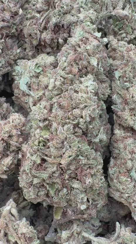 Load video: Caramel Apple - Bulk - Hybrid