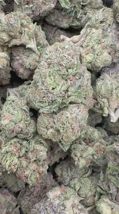 Load video: Sour Tangie - Bulk - Sativa