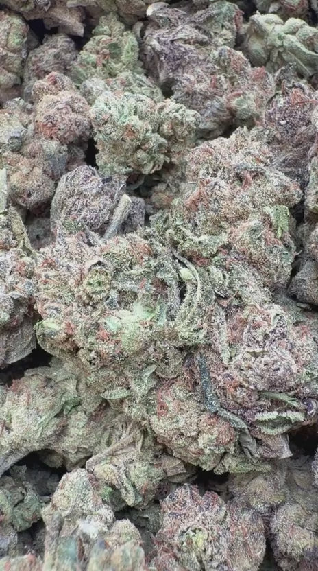 Load video: Blue Runtz - Bulk - Hybrid
