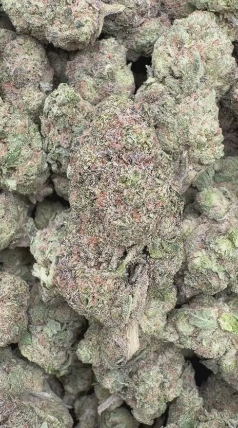 Load video: Hash Plant - Bulk - Indica