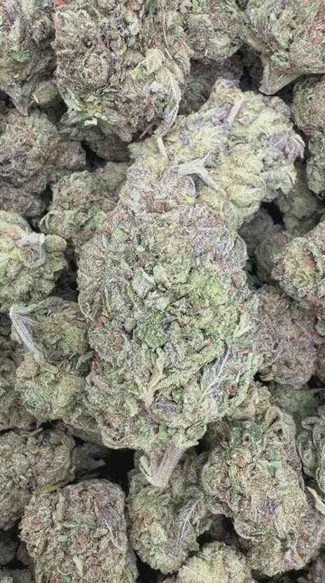 Load video: Sour Zkittles - Bulk - Hybrid