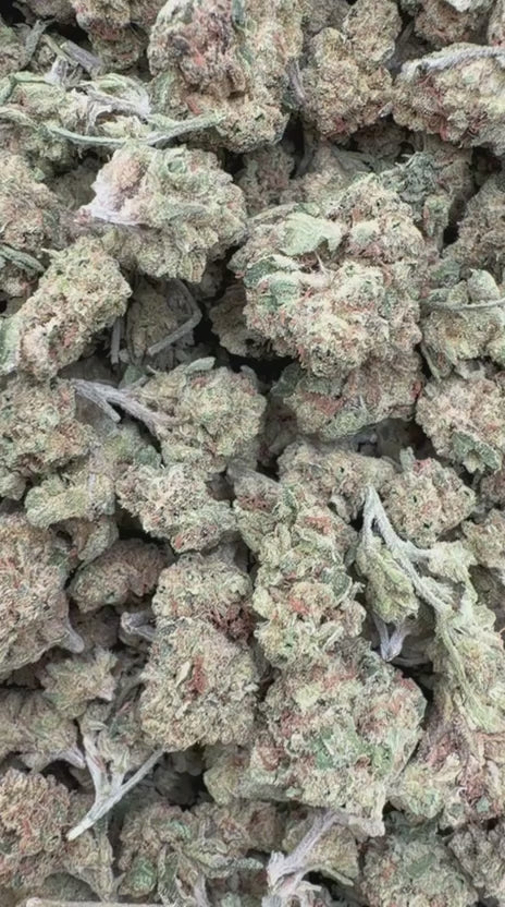 Load video: Do Si Dos x Lava Cake Littles - Bulk Littles - Indica