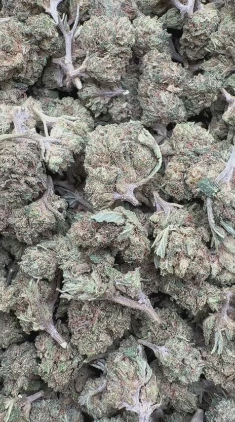 Load video: Northern Lights Littles - Bulk Littles - Indica