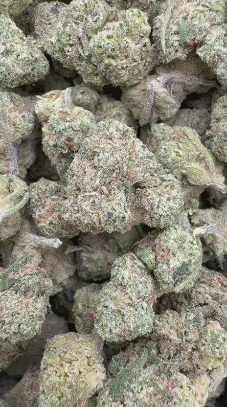 Load video: Double Dream Mediums - Bulk Mediums - Sativa